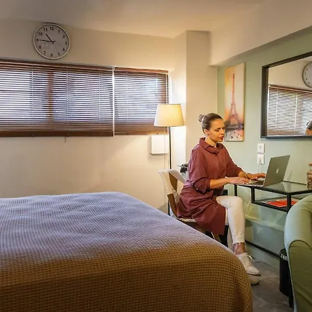 Pol's Studio, Mediterranean